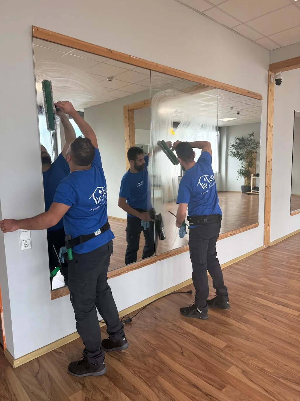 Glasreinigung Spiegel & Glasflächen Rottweil 2